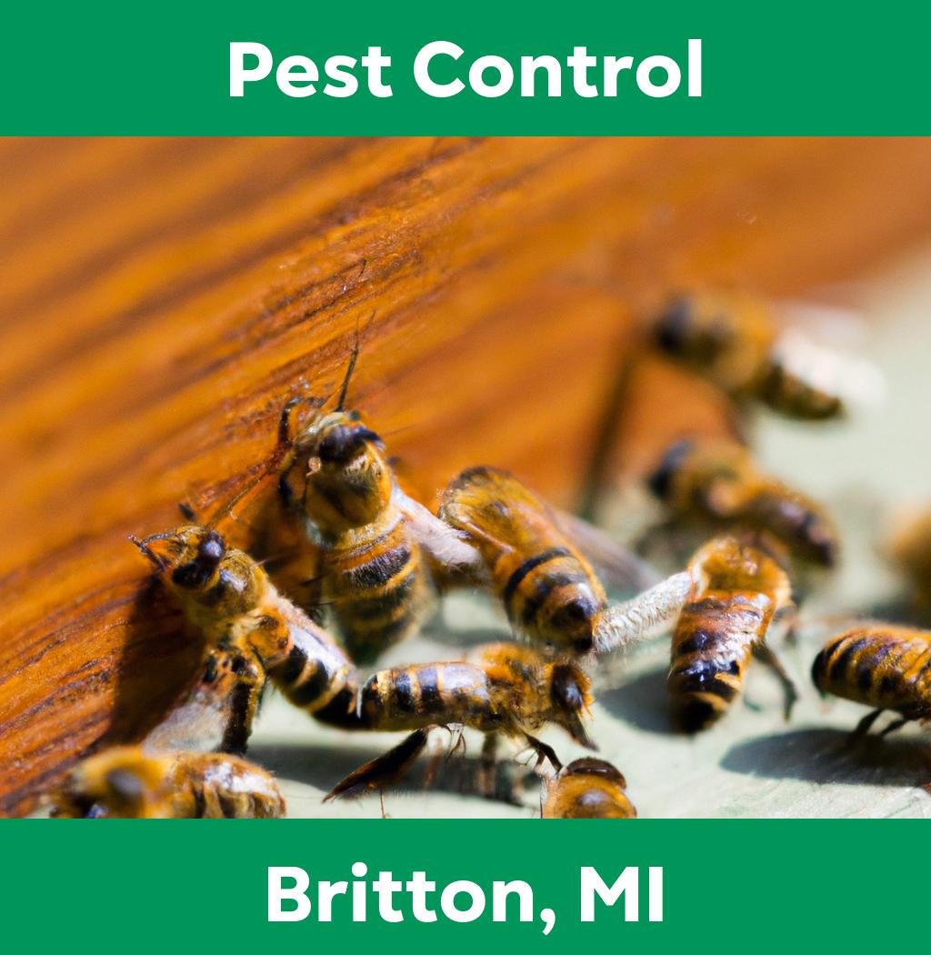 pest control in Britton Michigan