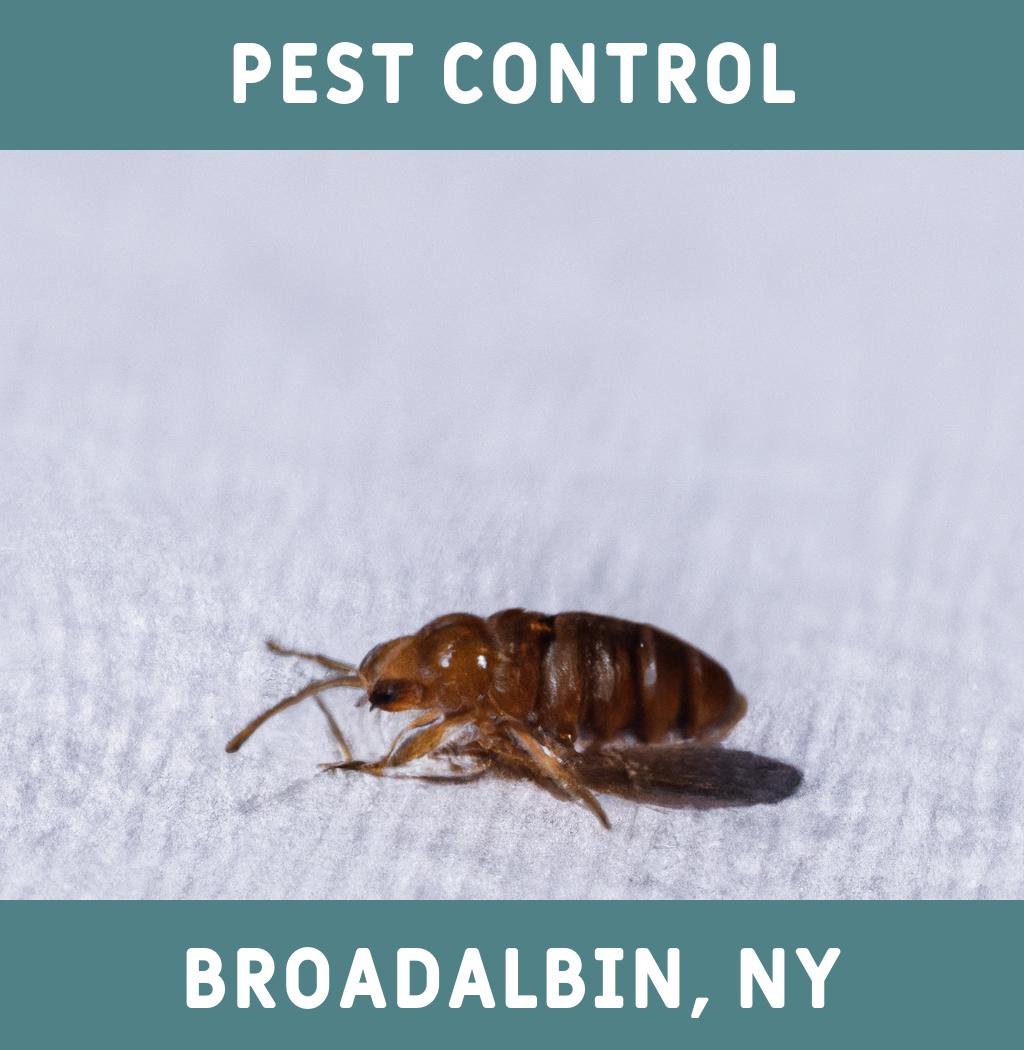 pest control in Broadalbin New York