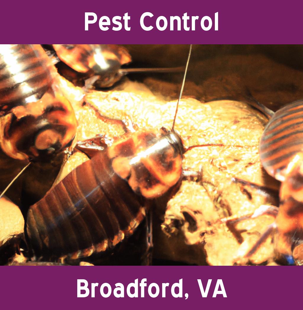 pest control in Broadford Virginia
