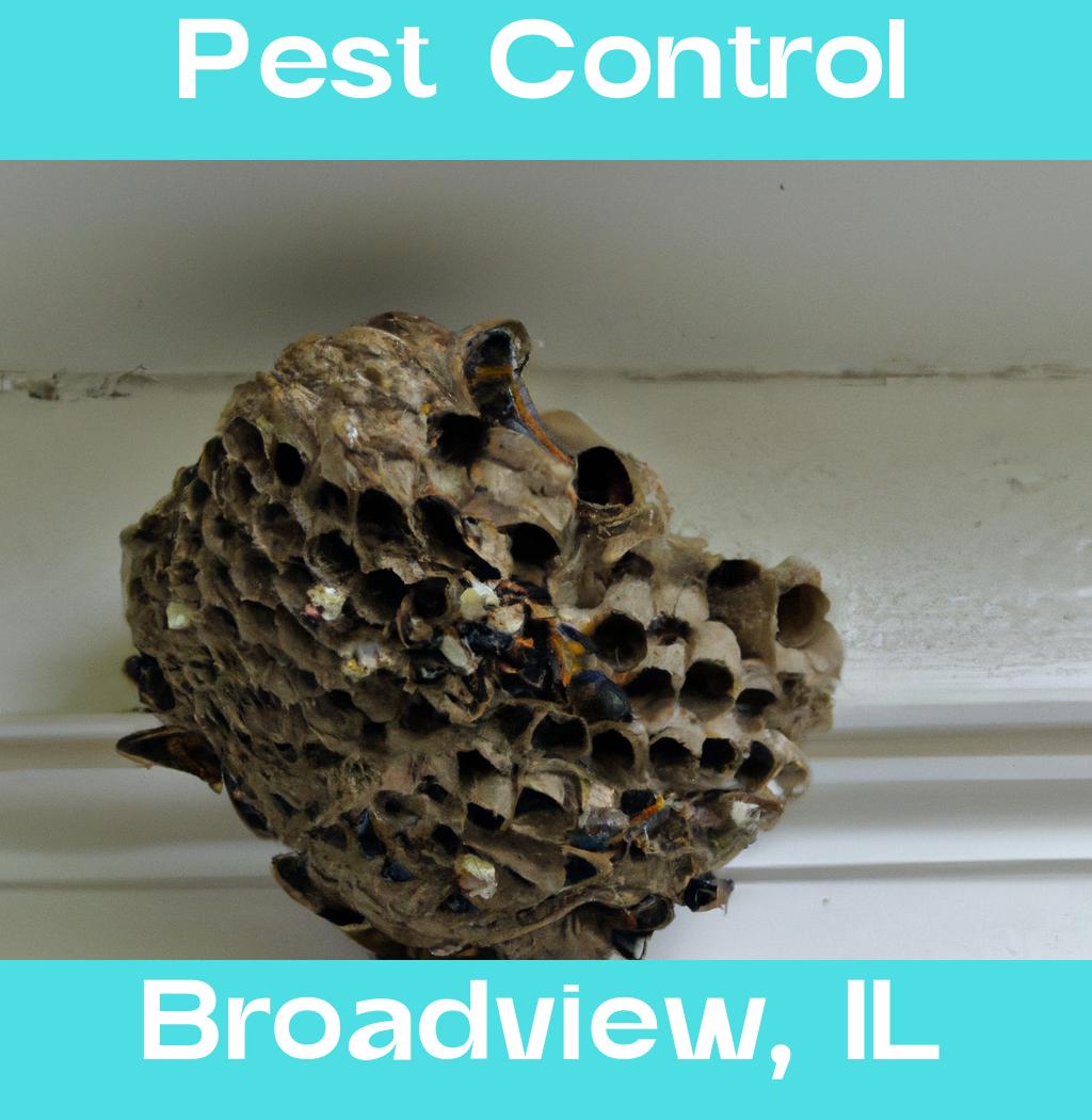 pest control in Broadview Illinois