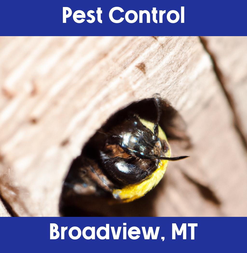 pest control in Broadview Montana