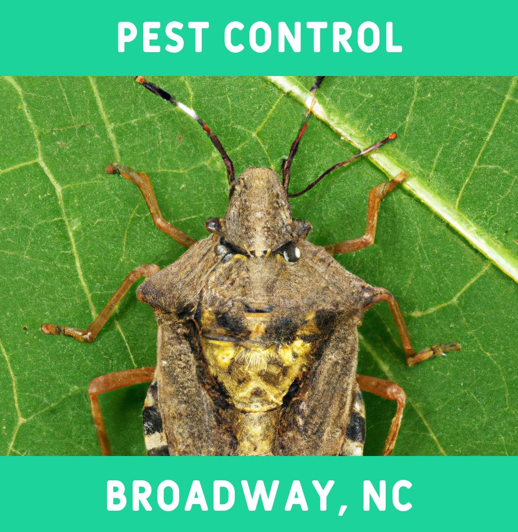 pest control in Broadway North Carolina