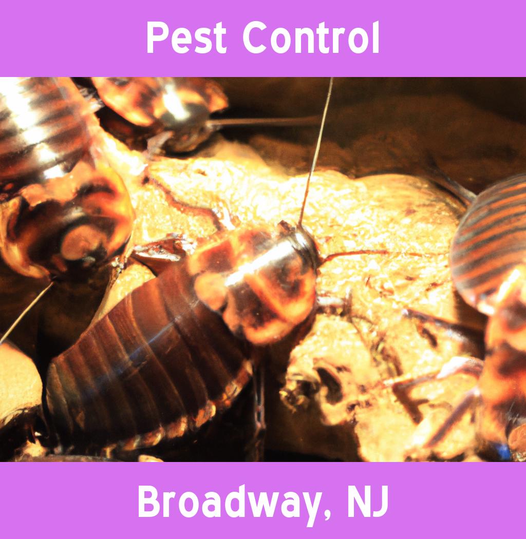 pest control in Broadway New Jersey