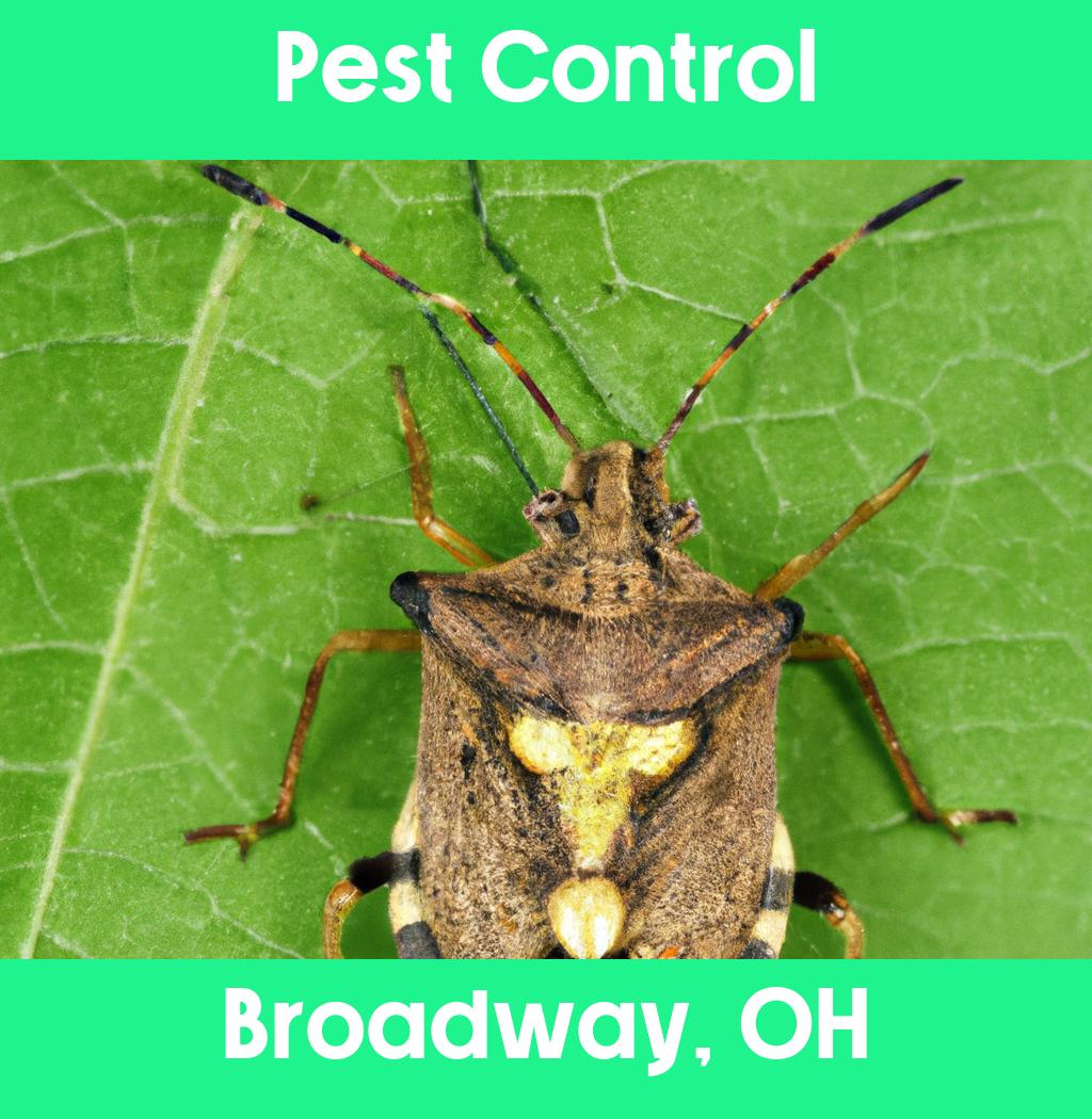 pest control in Broadway Ohio