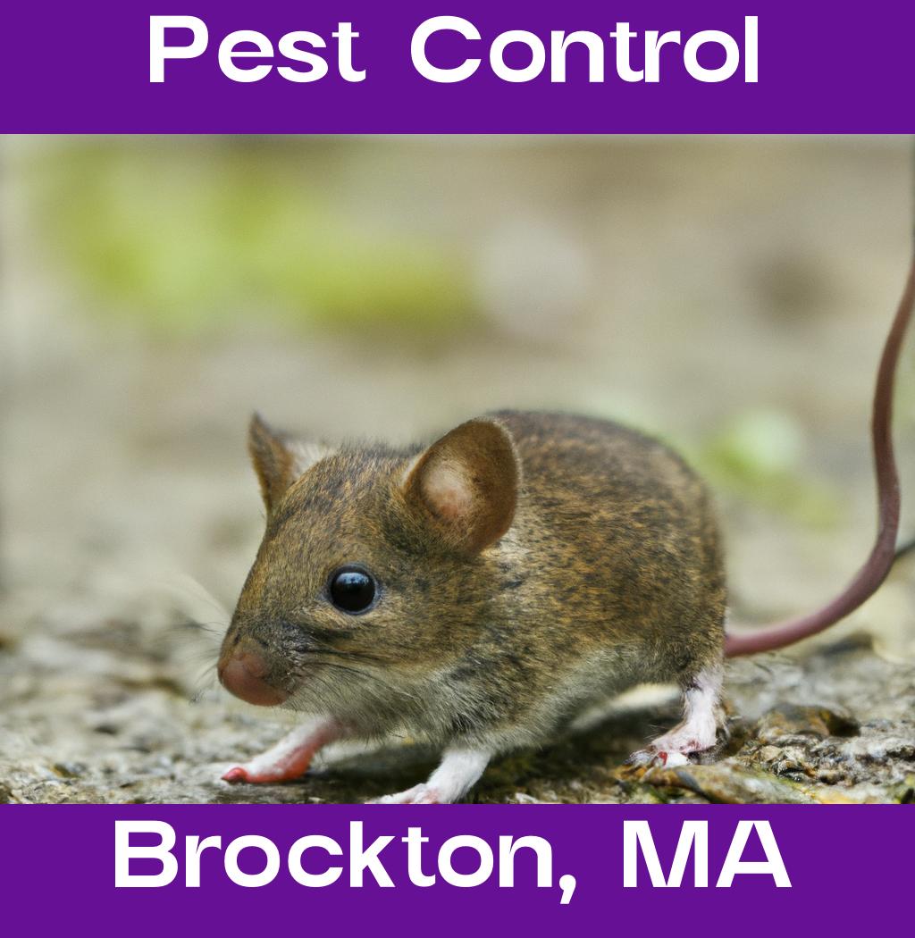 pest control in Brockton Massachusetts