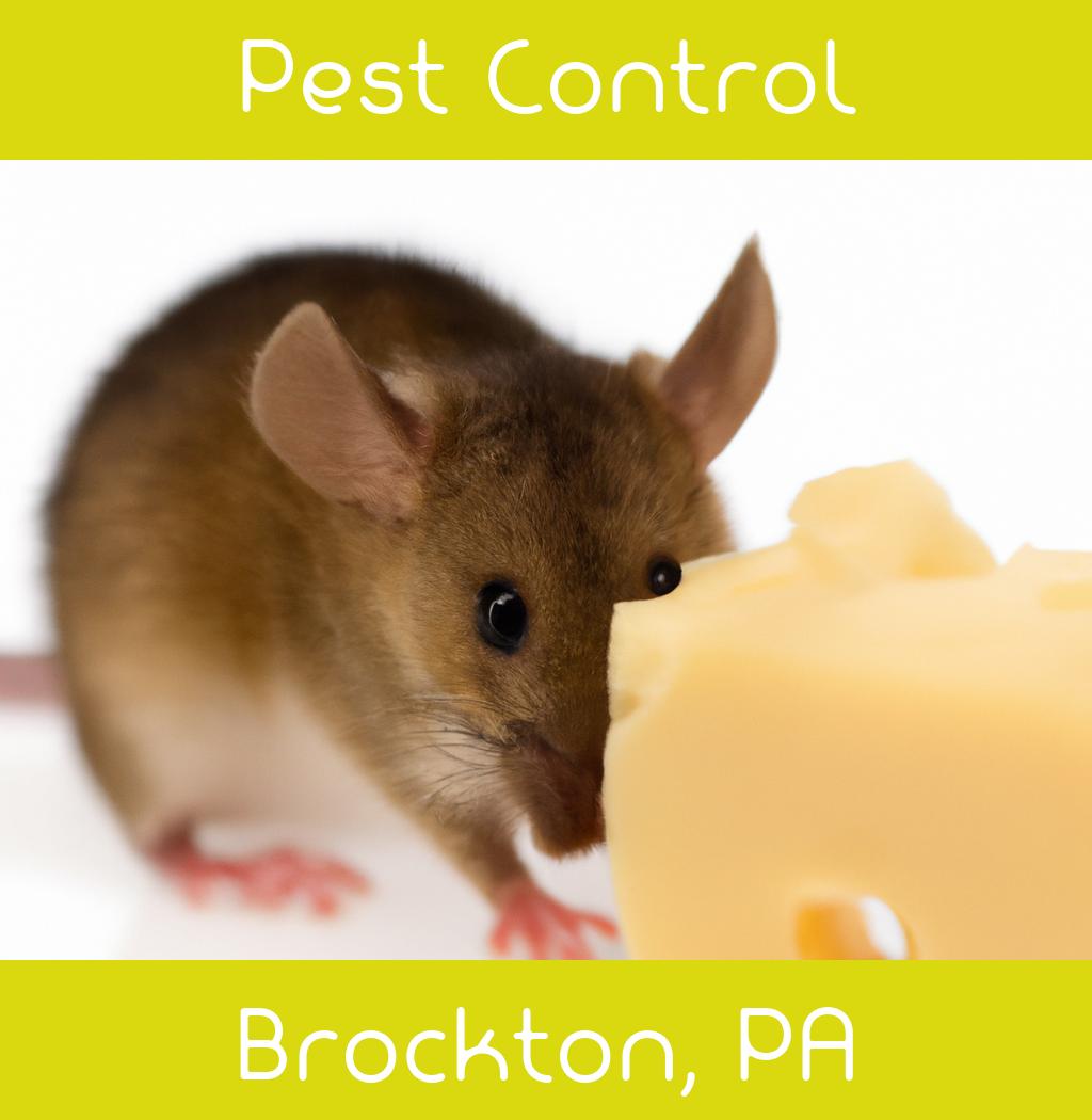 pest control in Brockton Pennsylvania
