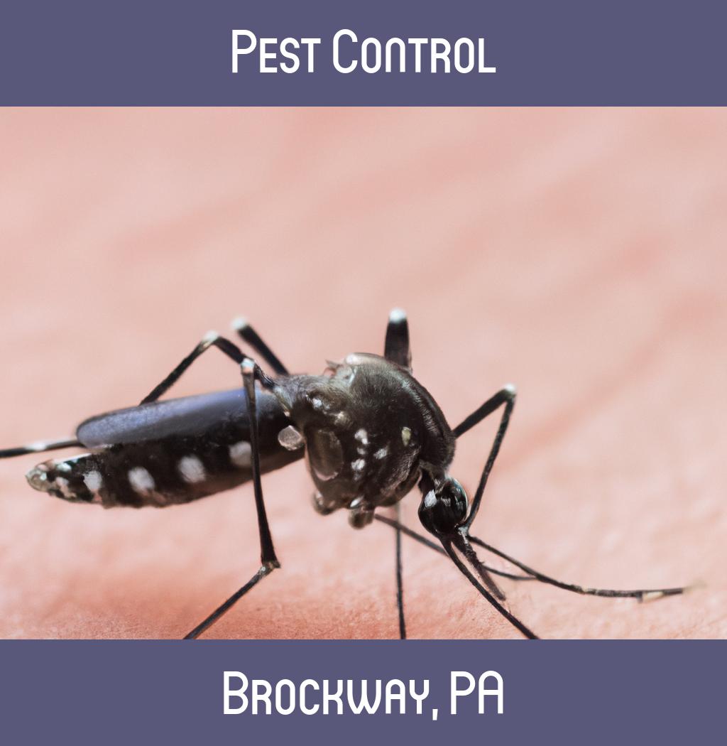 pest control in Brockway Pennsylvania