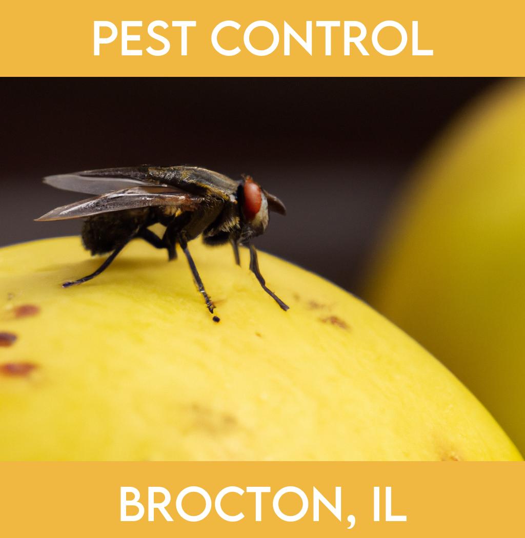 pest control in Brocton Illinois