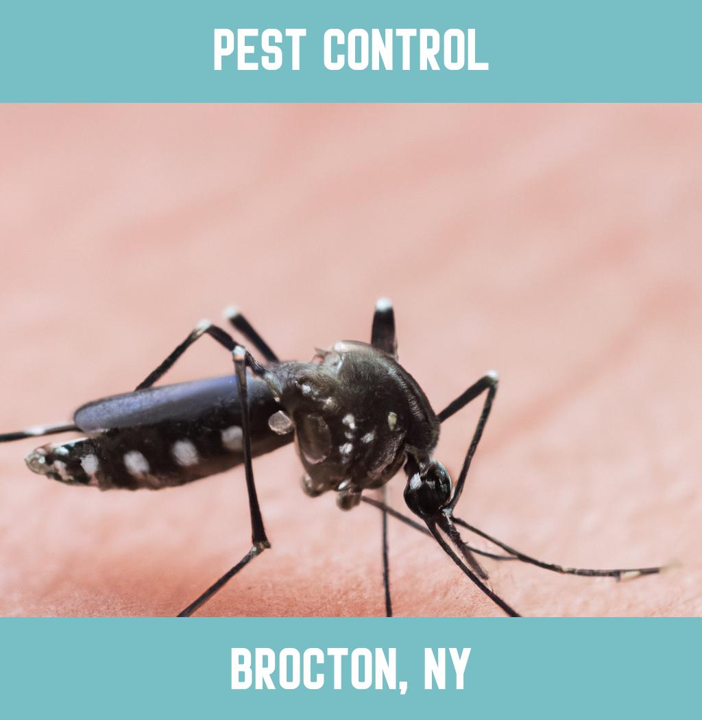 pest control in Brocton New York