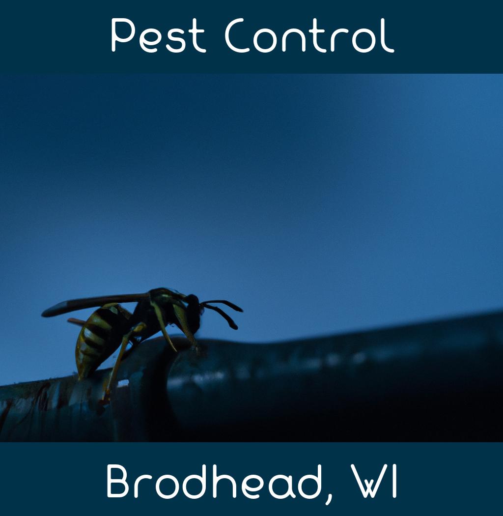 pest control in Brodhead Wisconsin