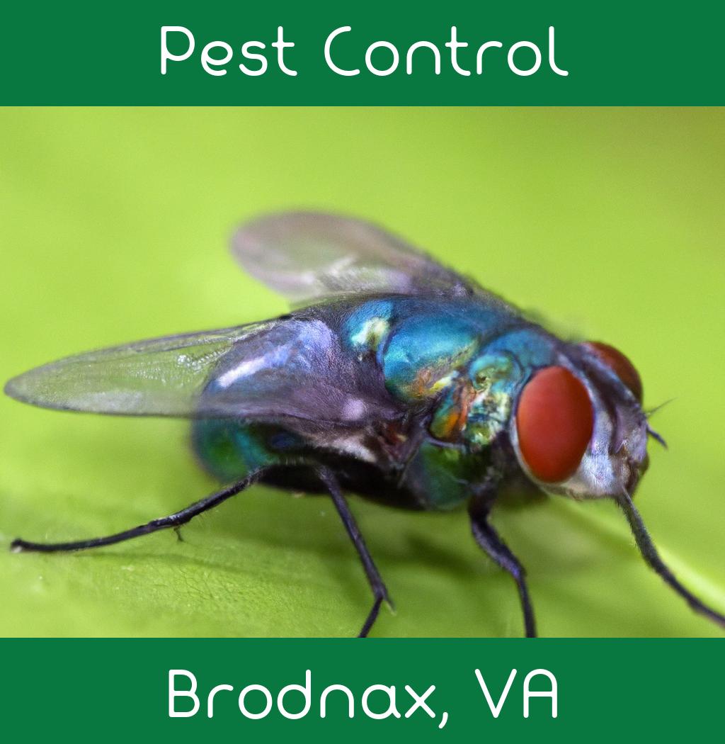 pest control in Brodnax Virginia