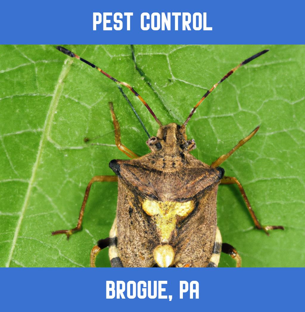 pest control in Brogue Pennsylvania