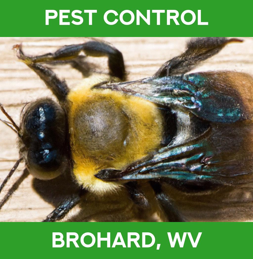 pest control in Brohard West Virginia