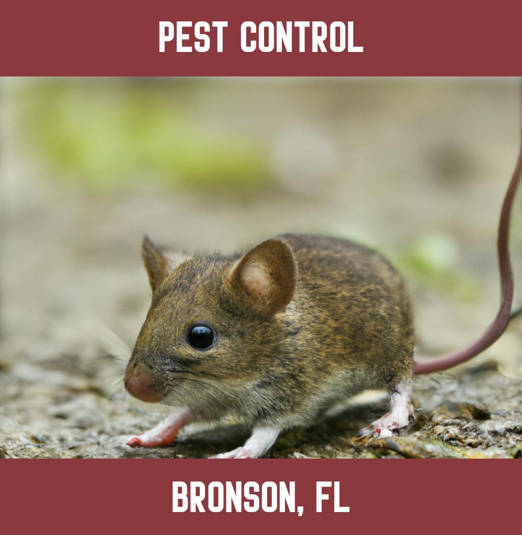 pest control in Bronson Florida