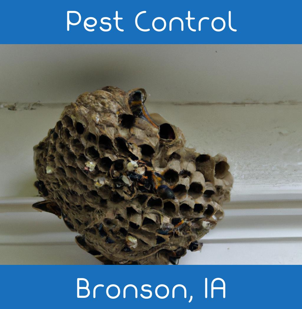 pest control in Bronson Iowa