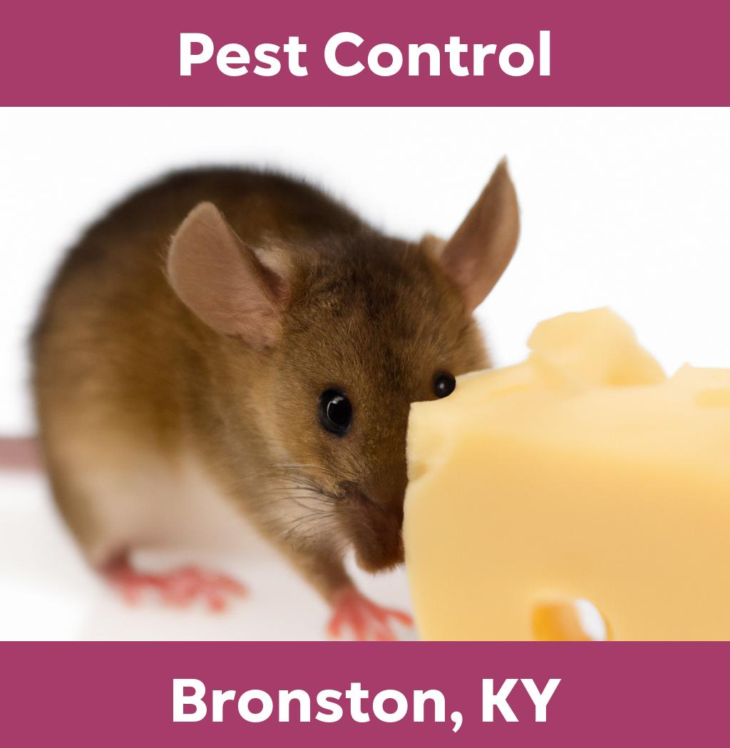 pest control in Bronston Kentucky