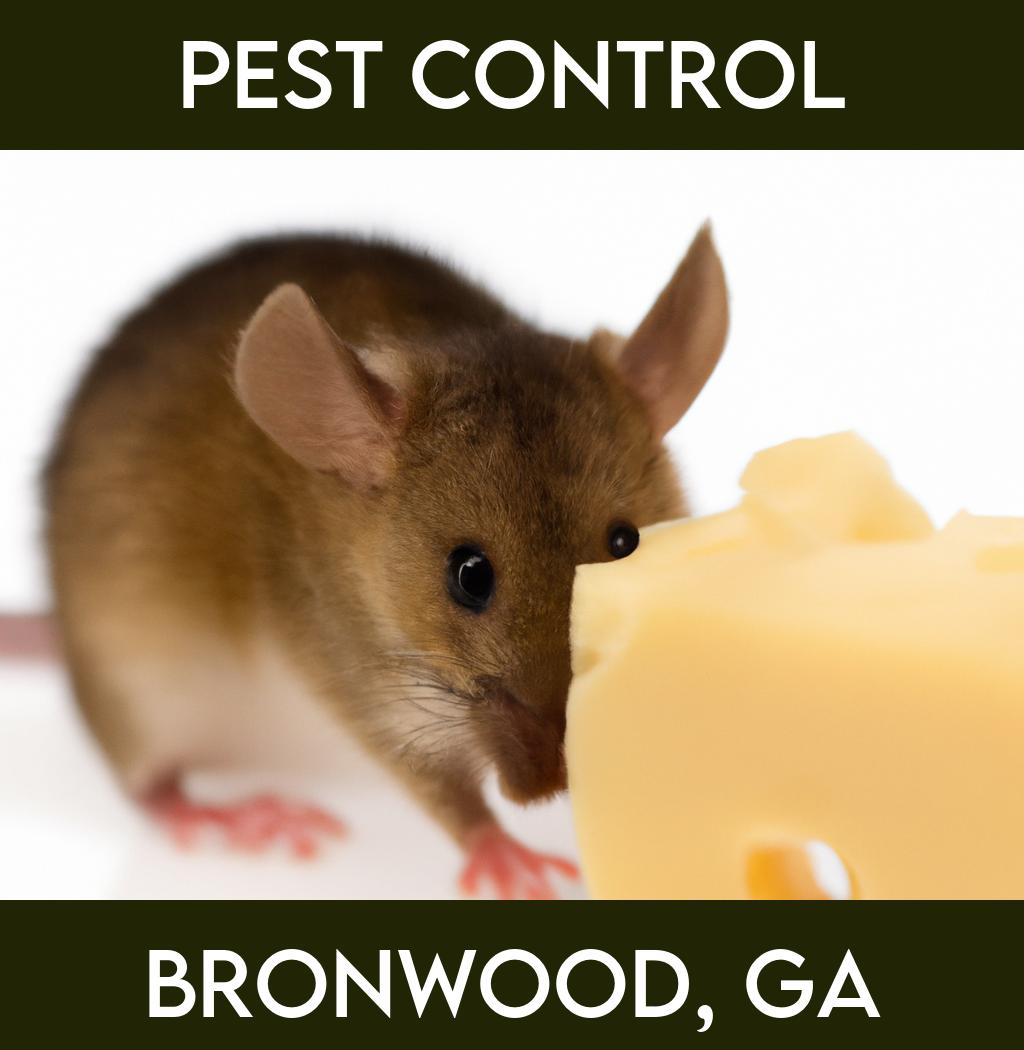 pest control in Bronwood Georgia