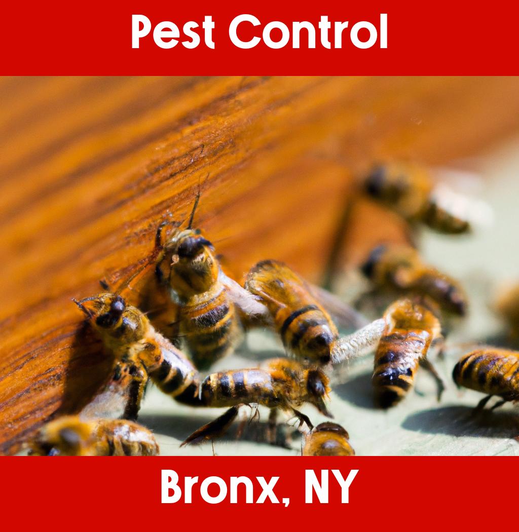 pest control in Bronx New York