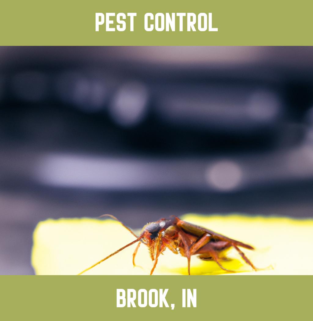 pest control in Brook Indiana