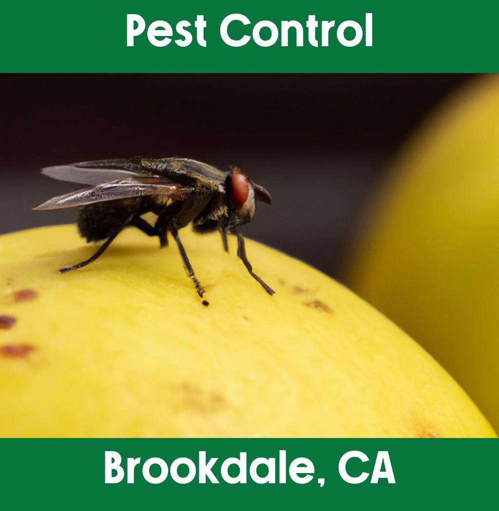 pest control in Brookdale California