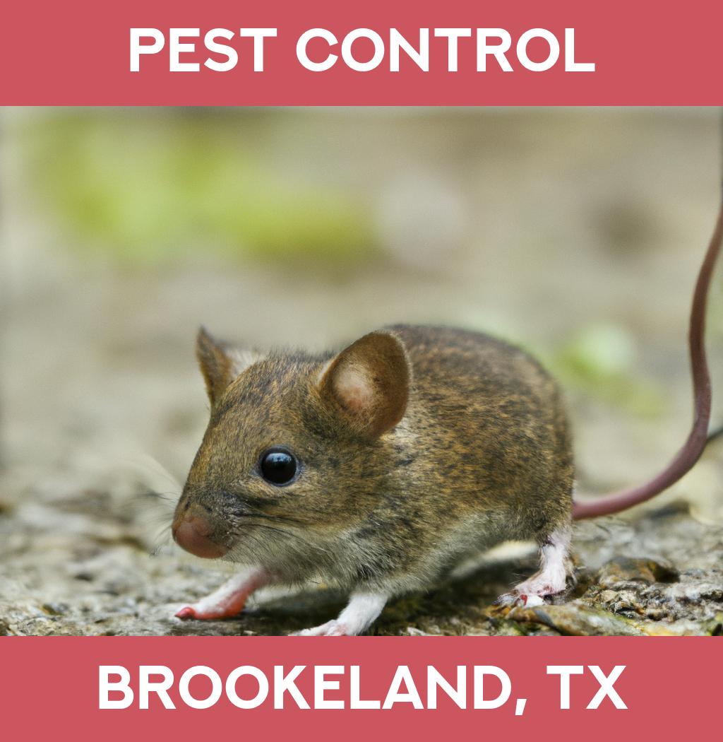 pest control in Brookeland Texas