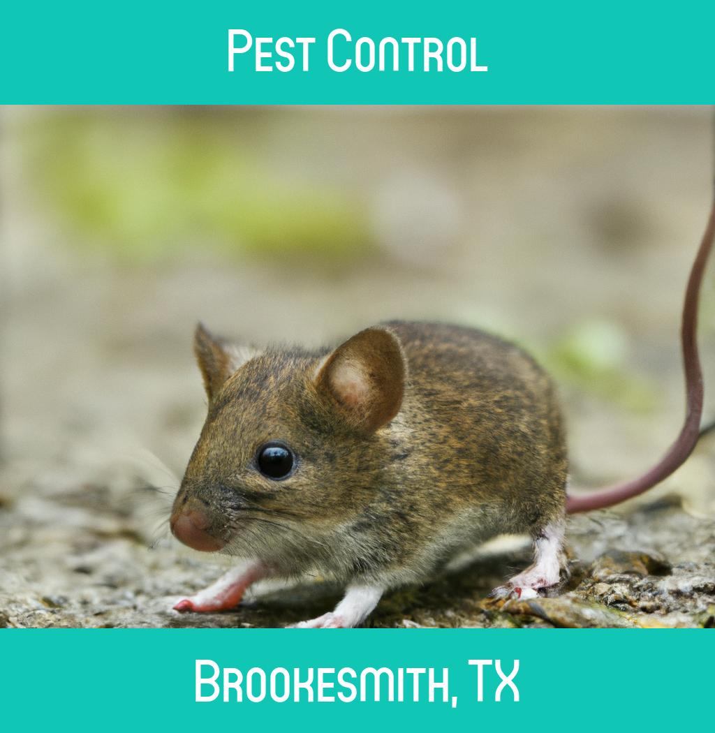 pest control in Brookesmith Texas