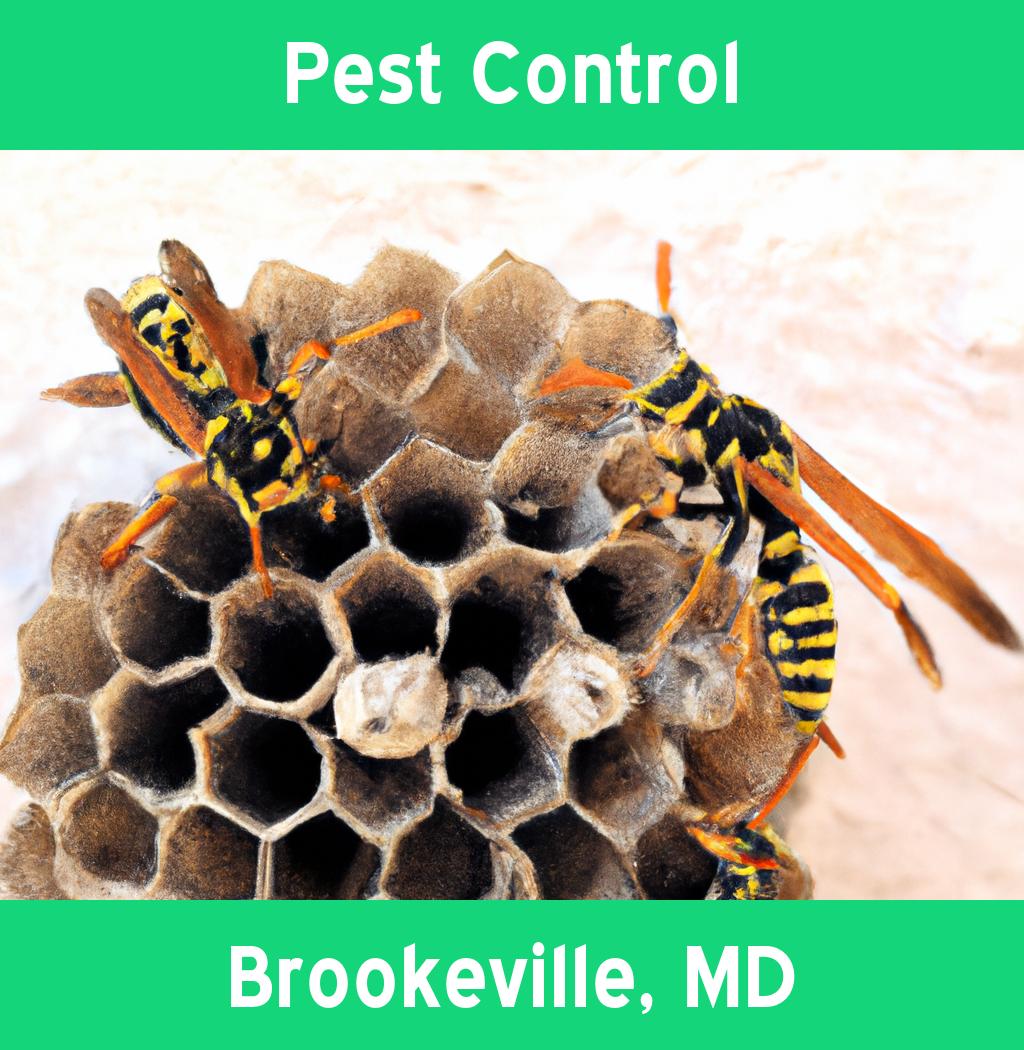 pest control in Brookeville Maryland