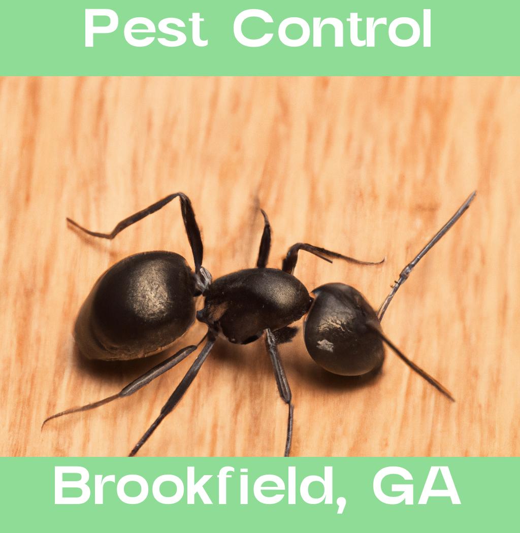 pest control in Brookfield Georgia