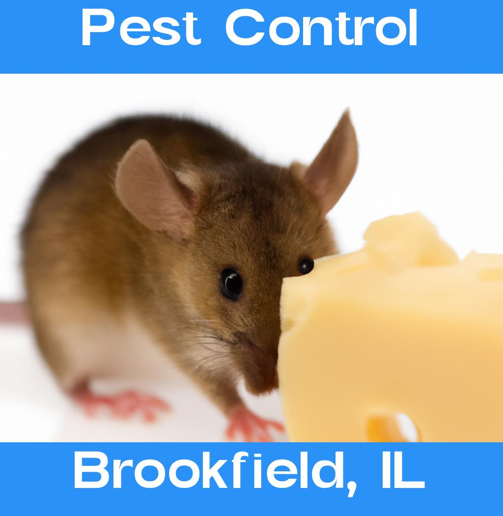 pest control in Brookfield Illinois