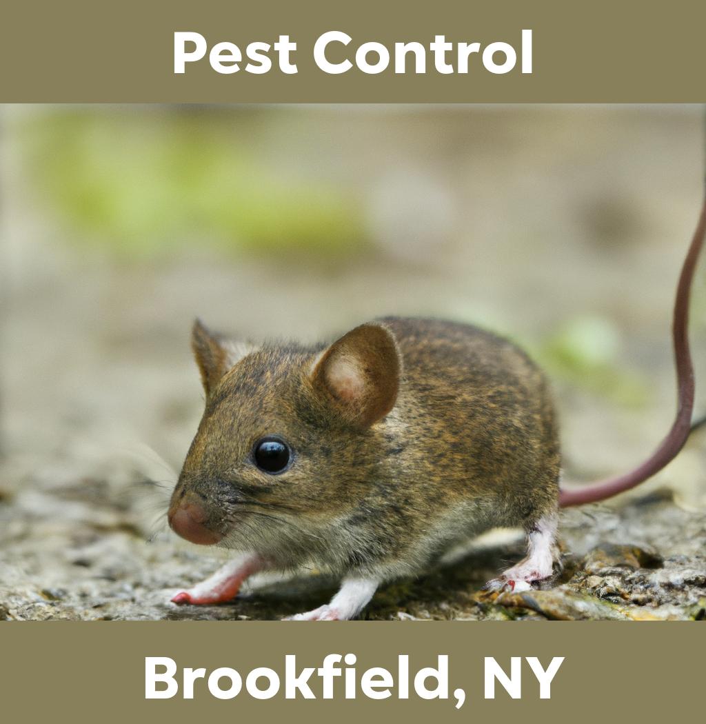 pest control in Brookfield New York