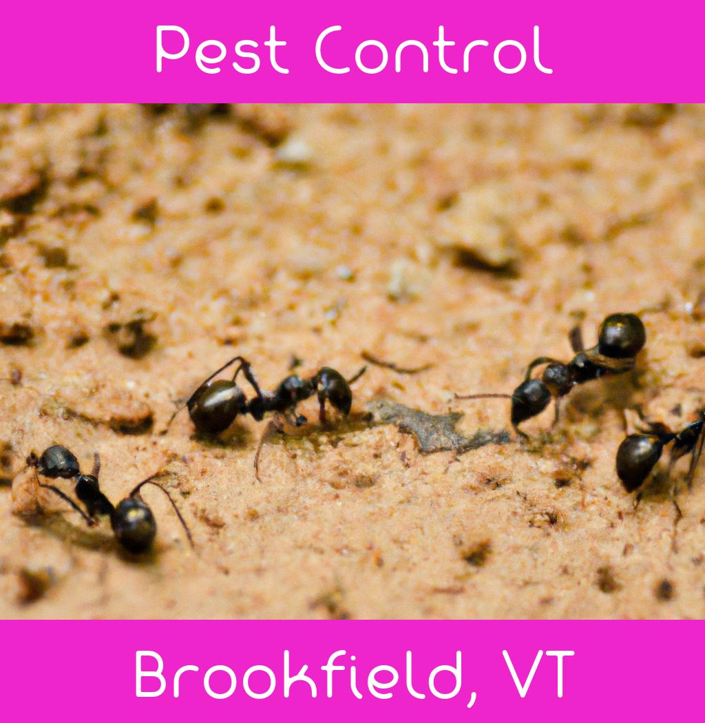 pest control in Brookfield Vermont