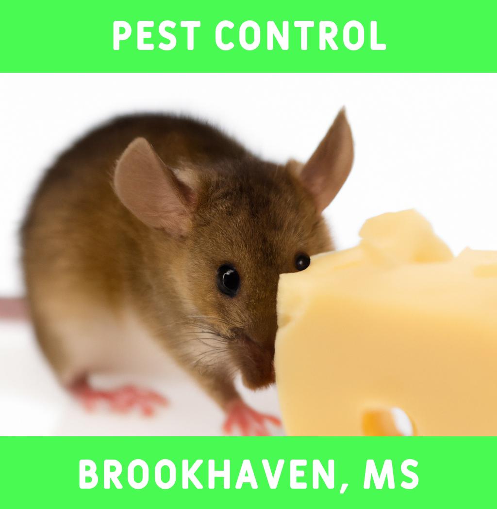 pest control in Brookhaven Mississippi