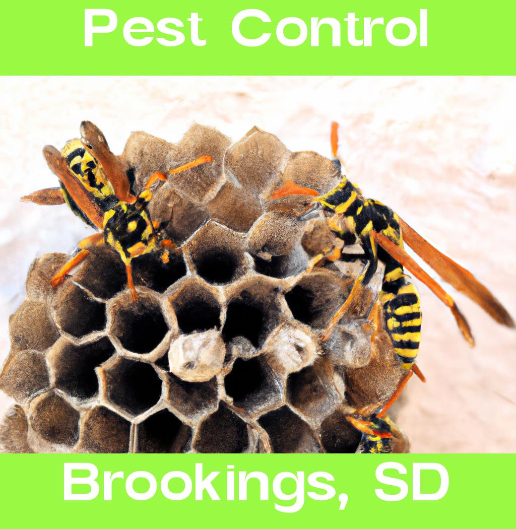 pest control in Brookings South Dakota