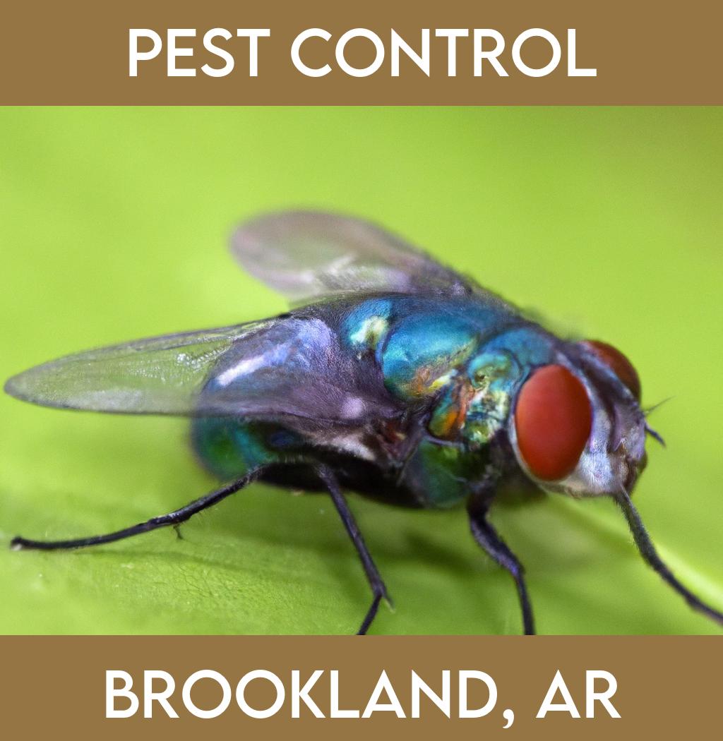 pest control in Brookland Arkansas