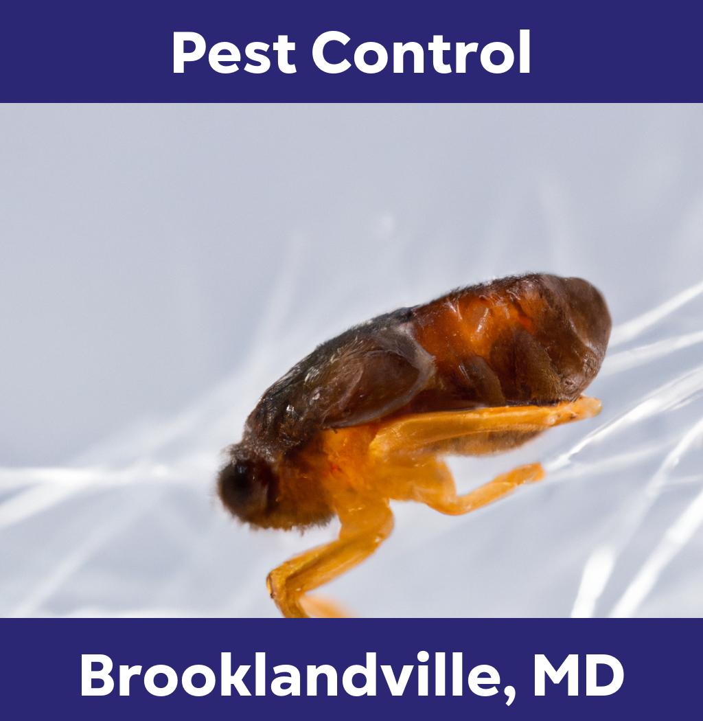 pest control in Brooklandville Maryland