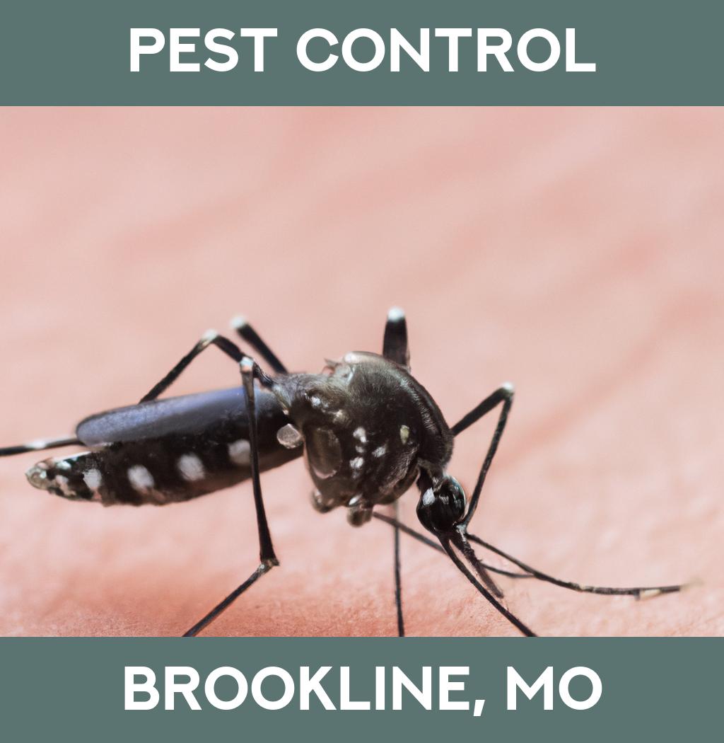pest control in Brookline Missouri