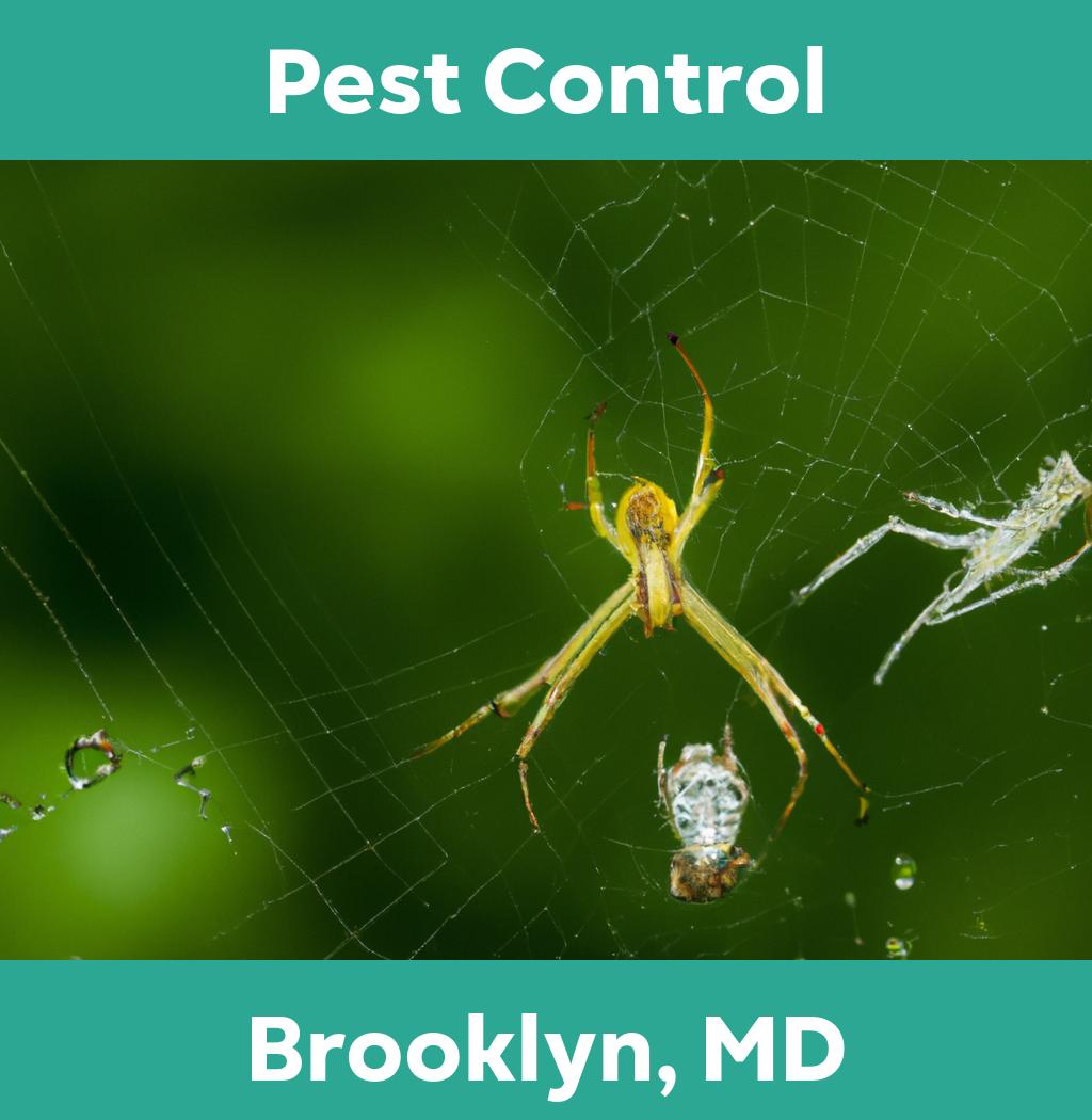 pest control in Brooklyn Maryland