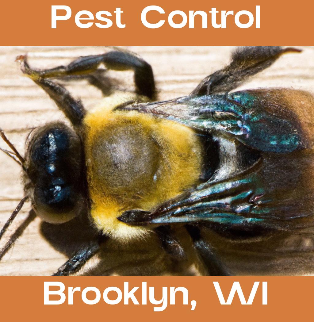 pest control in Brooklyn Wisconsin