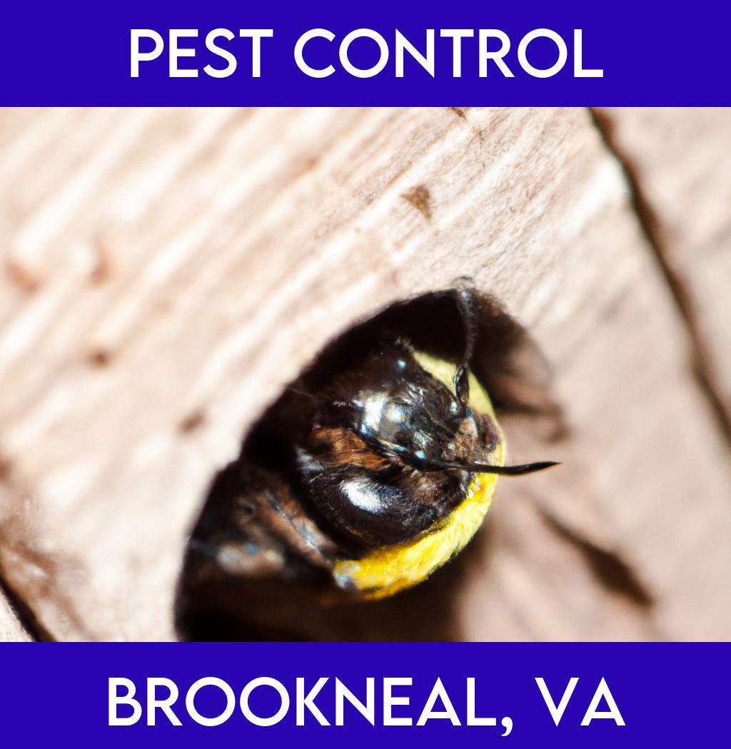 pest control in Brookneal Virginia
