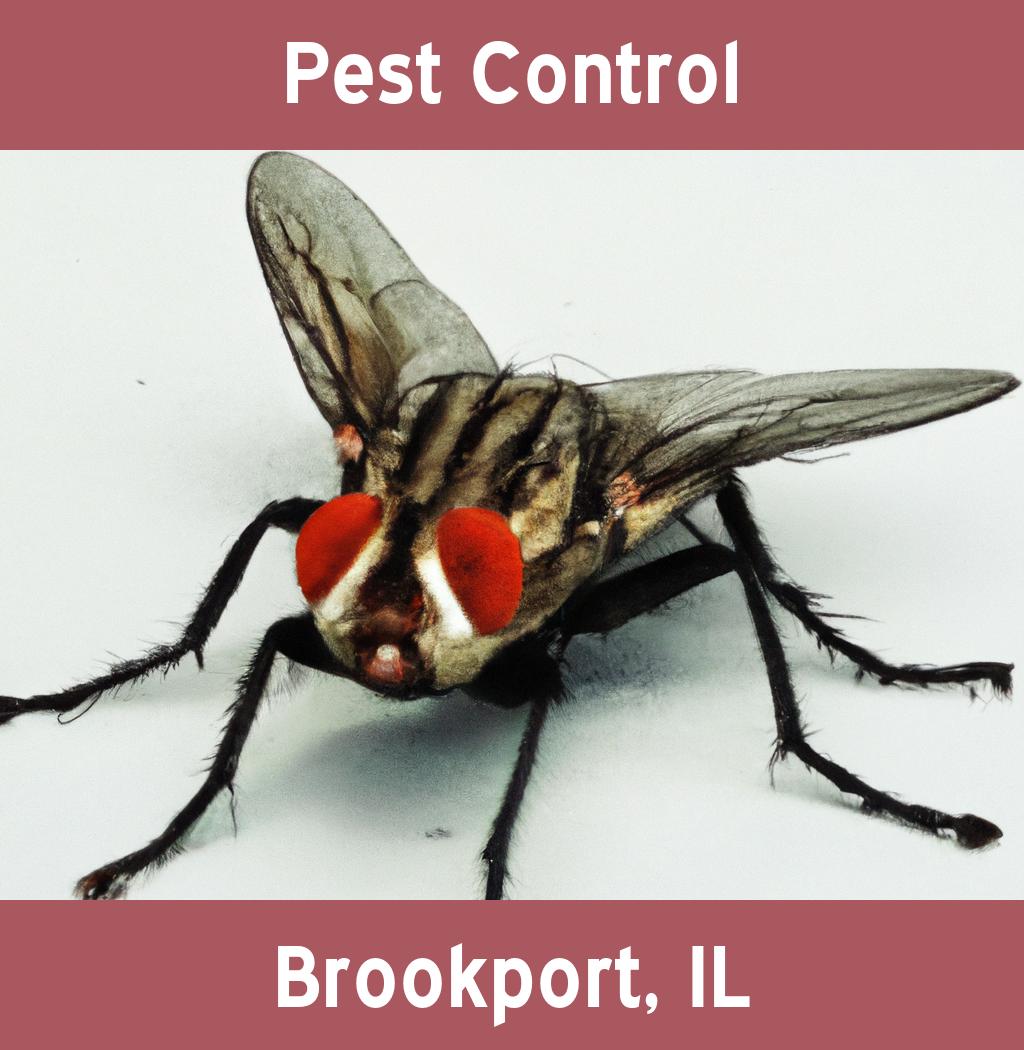 pest control in Brookport Illinois