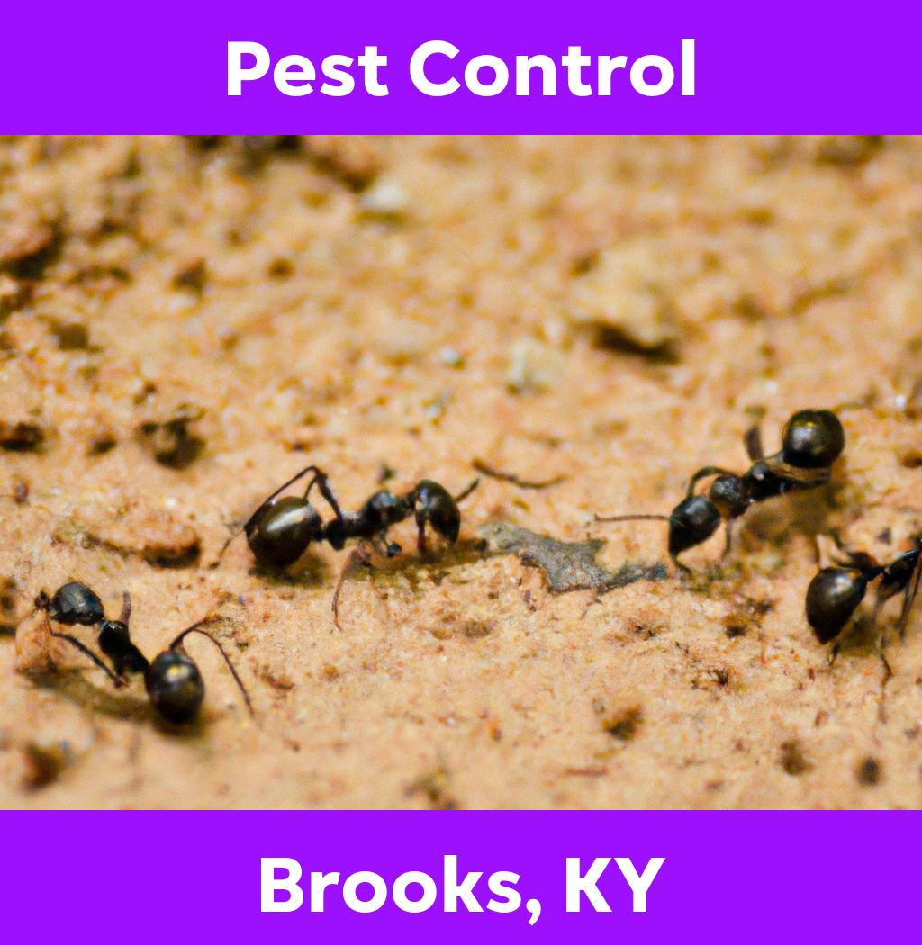 pest control in Brooks Kentucky