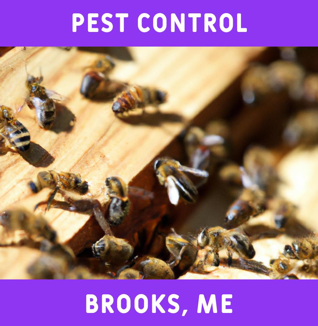 pest control in Brooks Maine