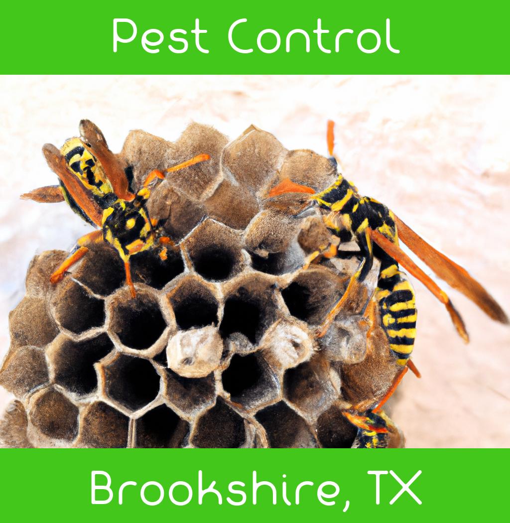 pest control in Brookshire Texas