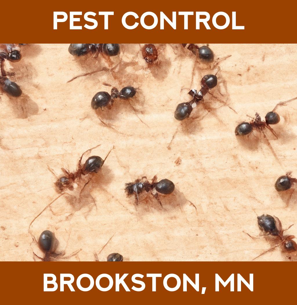 pest control in Brookston Minnesota