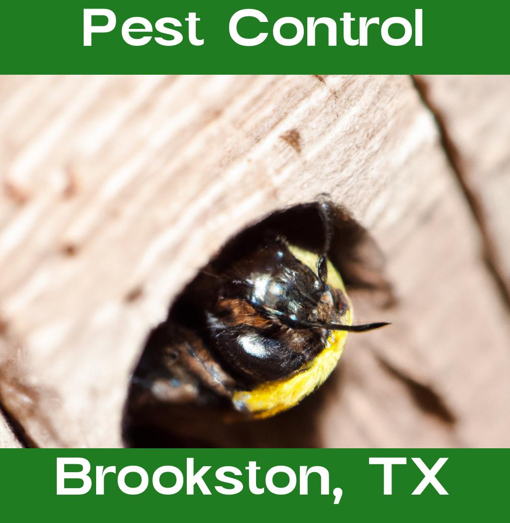 pest control in Brookston Texas