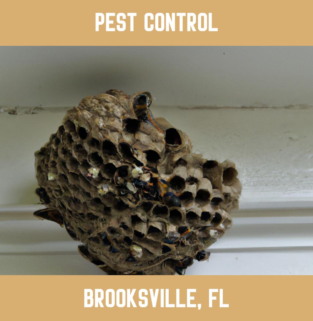 pest control in Brooksville Florida