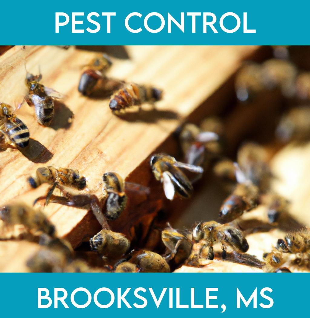 pest control in Brooksville Mississippi