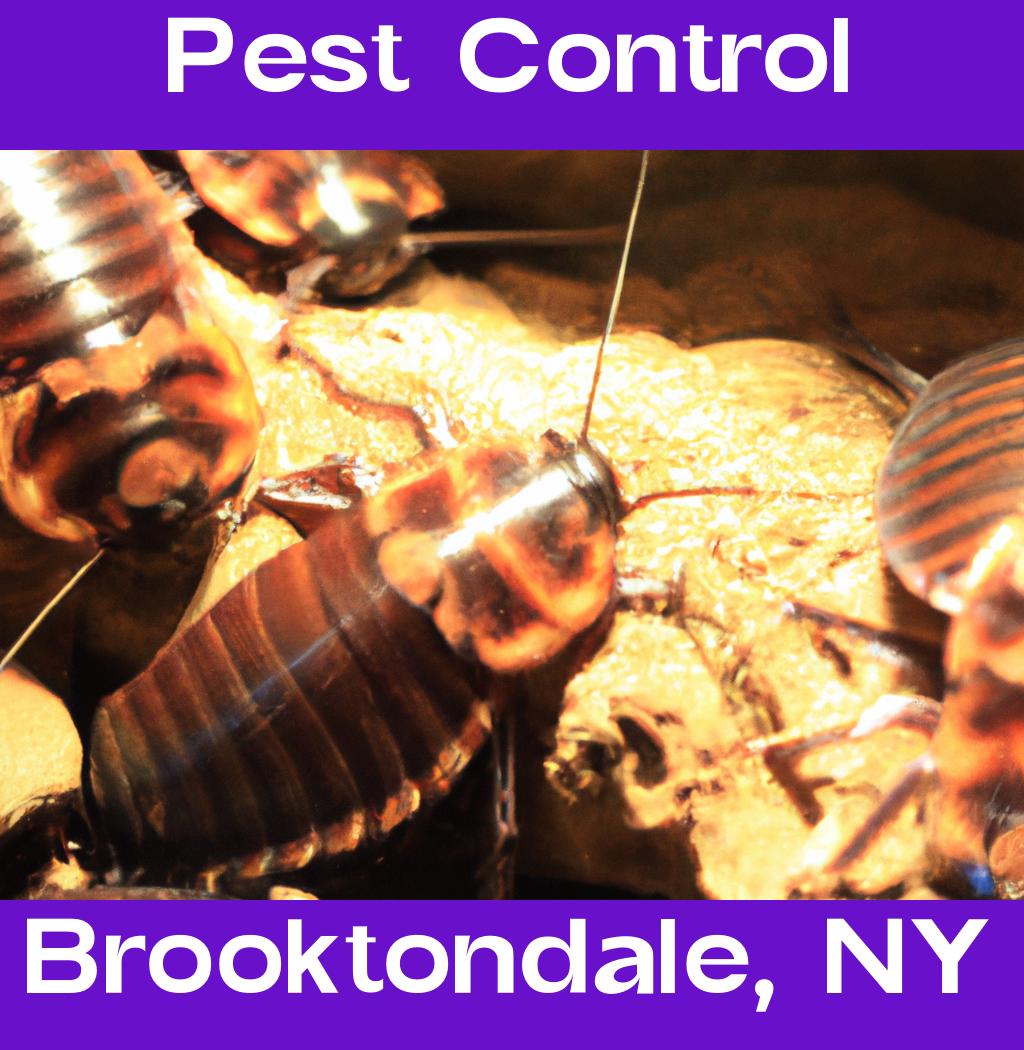 pest control in Brooktondale New York