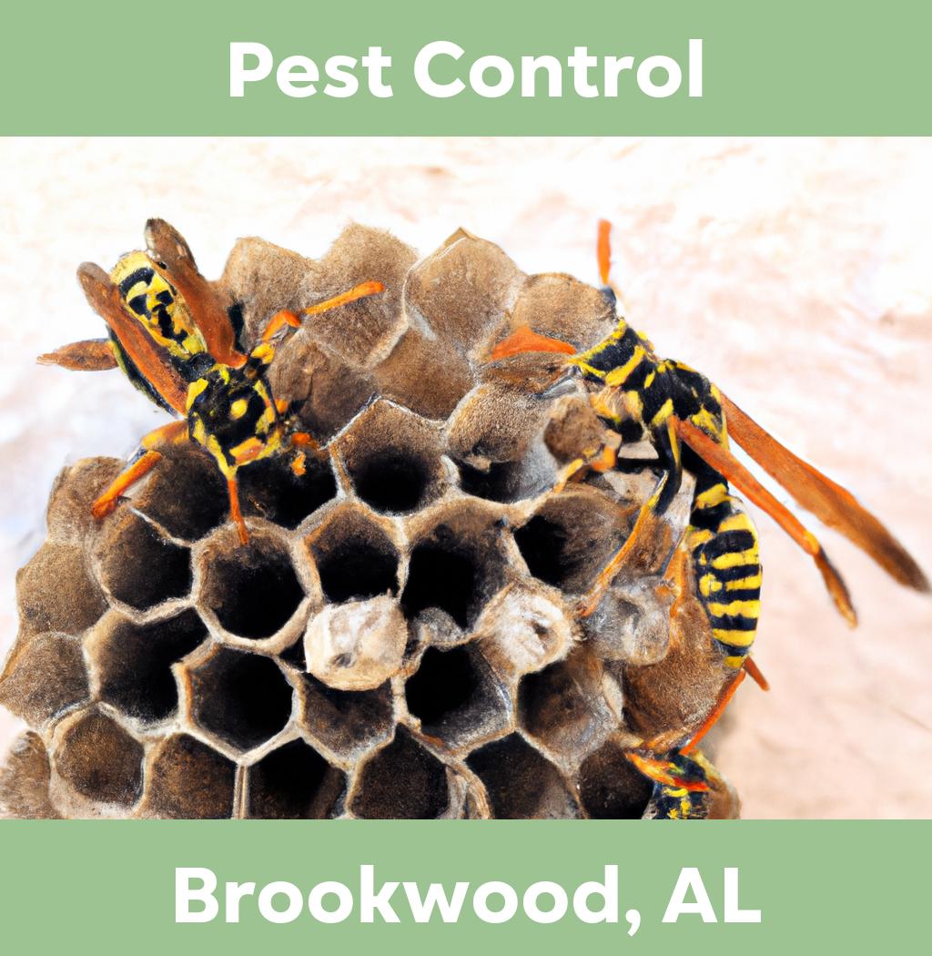 pest control in Brookwood Alabama