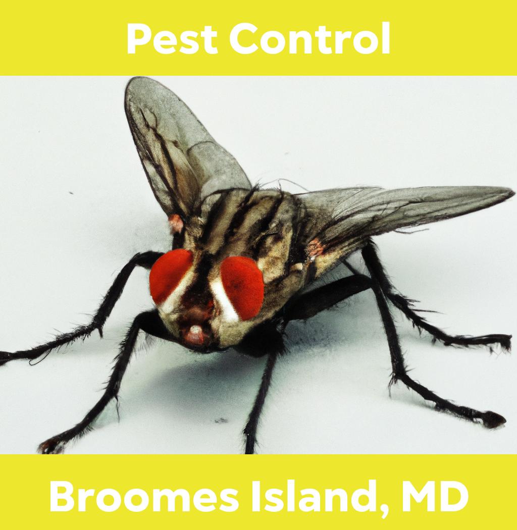 pest control in Broomes Island Maryland